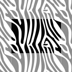 Трафарет О-015 Шкура зебры имитация 